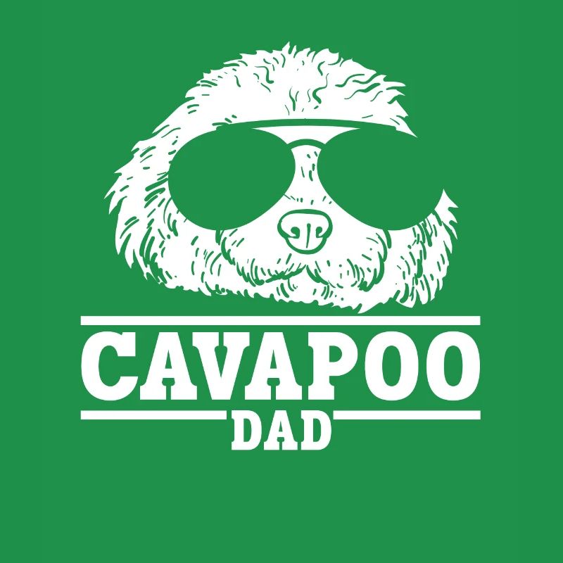Cavapoo Cavoodle Capoodle Hund