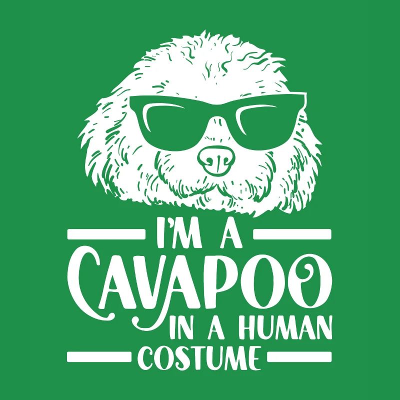 Cavapoo Cavoodle Capoodle Hund
