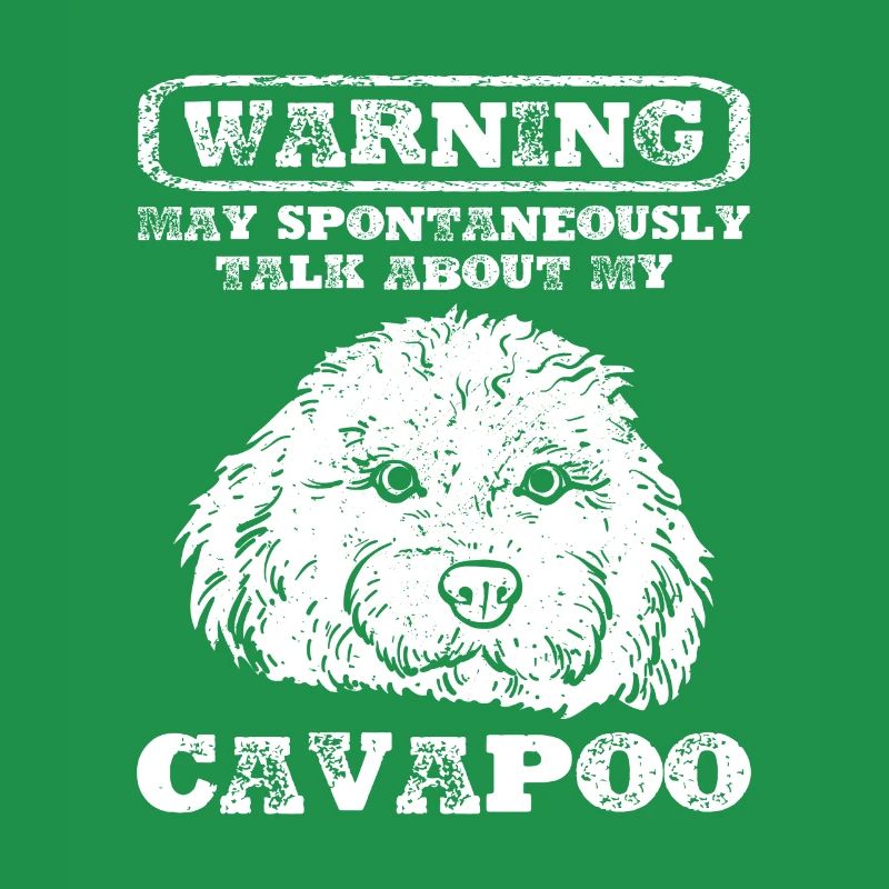 Cavapoo Cavoodle Capoodle Chien