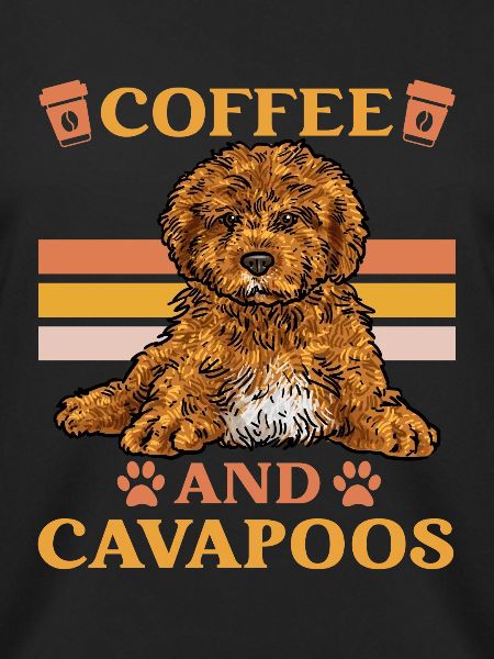 Cavapoo Cavoodle Capoodle Hund