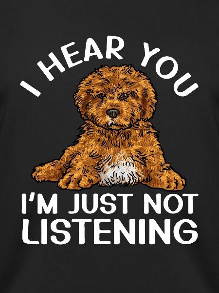 Cavapoo Cavoodle Capoodle Hund