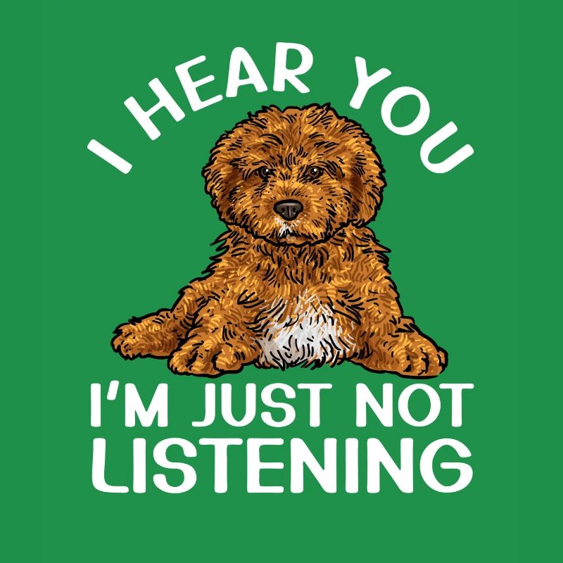Cavapoo Cavoodle Capoodle Dog