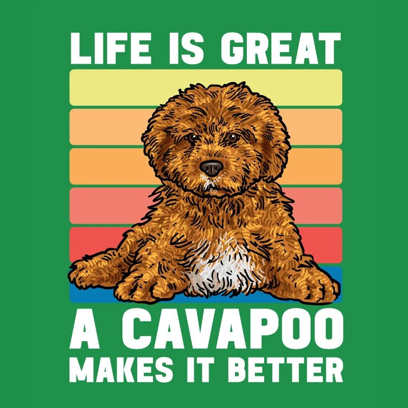 Cavapoo Cavoodle Capoodle Hund