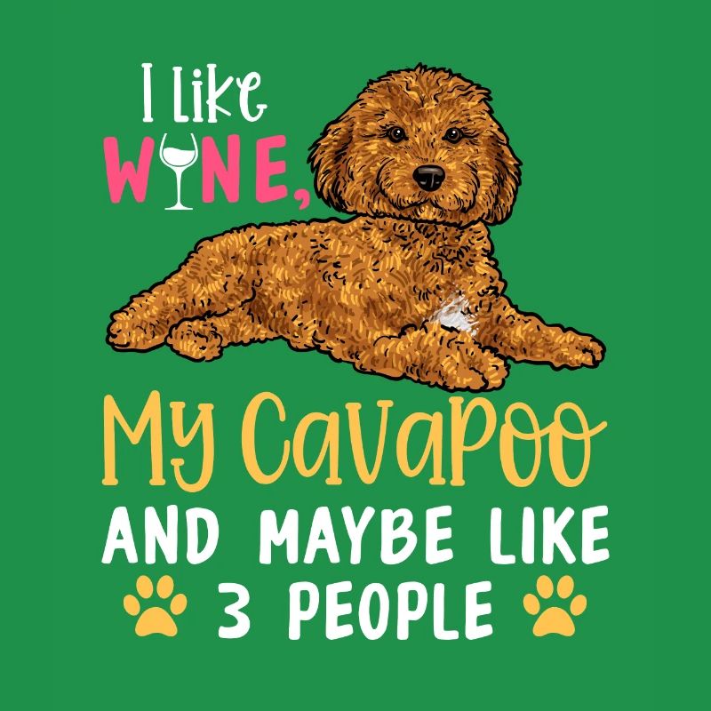 Cavapoo Cavoodle Capoodle Hund