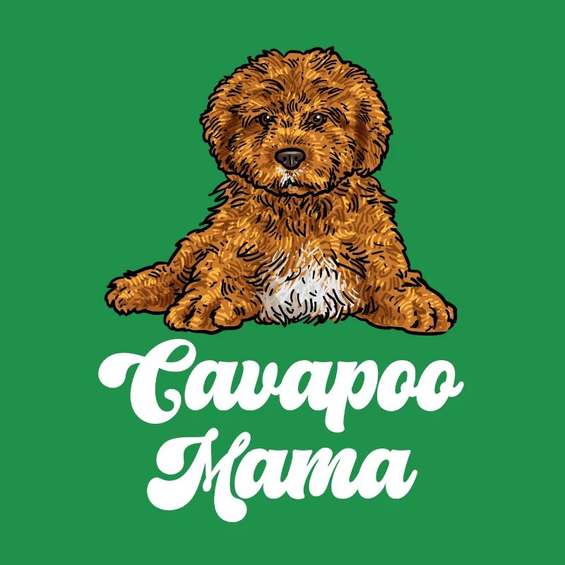 Cavapoo Cavoodle Capoodle Hund