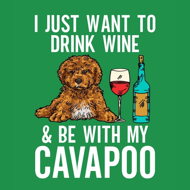 Cavapoo Cavoodle Capoodle Chien