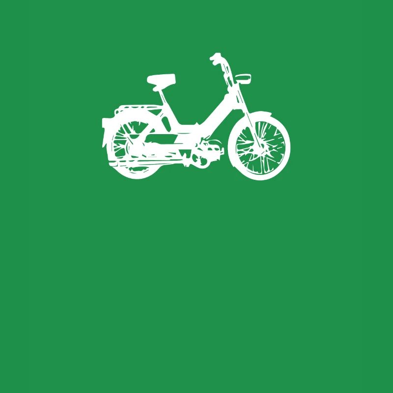 DDR Mobylette Oldtimer Roller Mofa Scooter 2 Takter