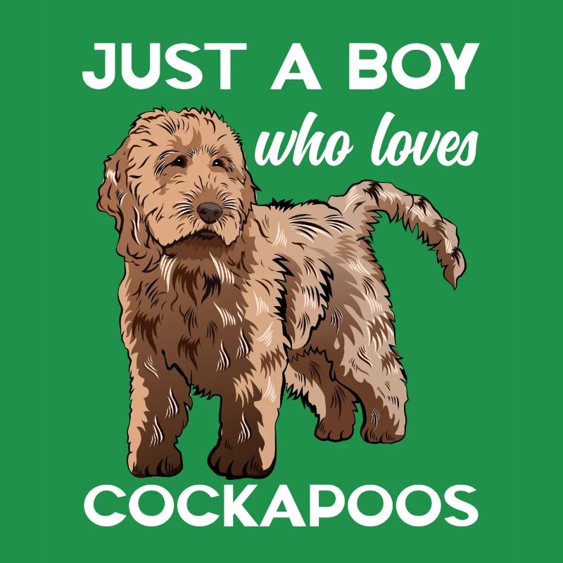 Cockapoo Hund