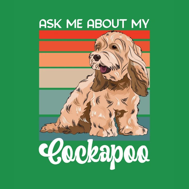 Cockapoo Chien