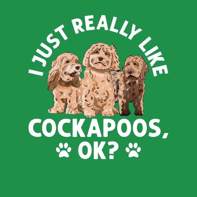 Cockapoo Chien