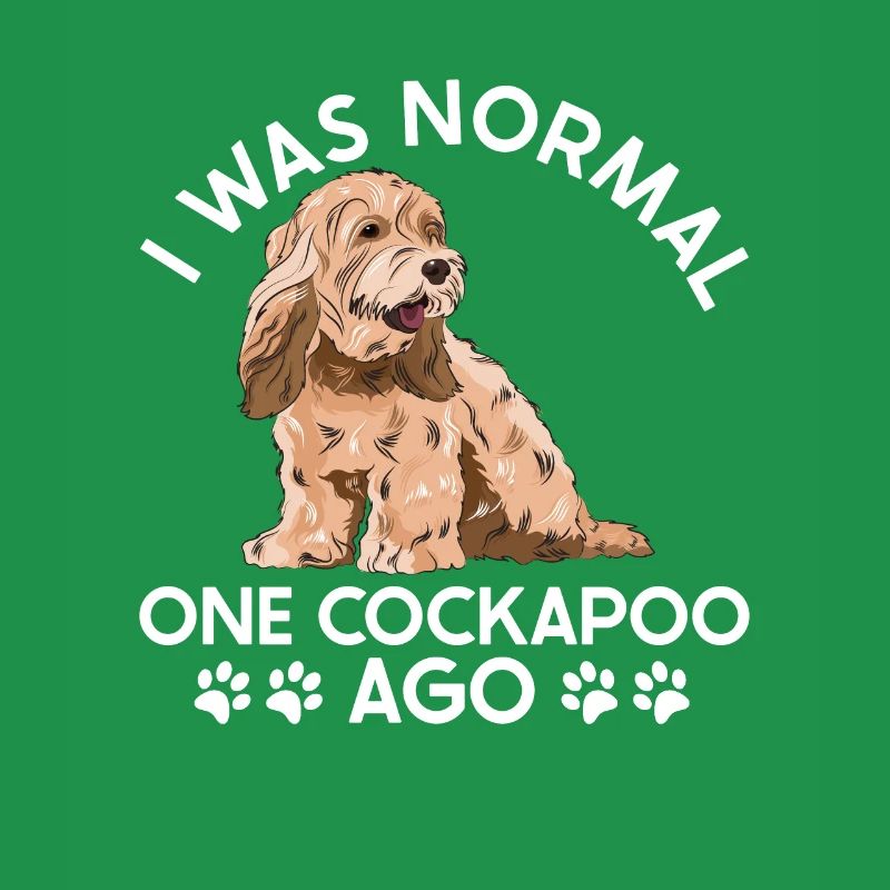 Cockapoo Hund