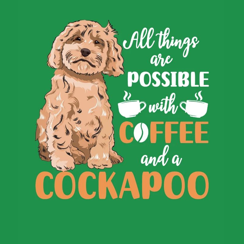 Cockapoo Chien
