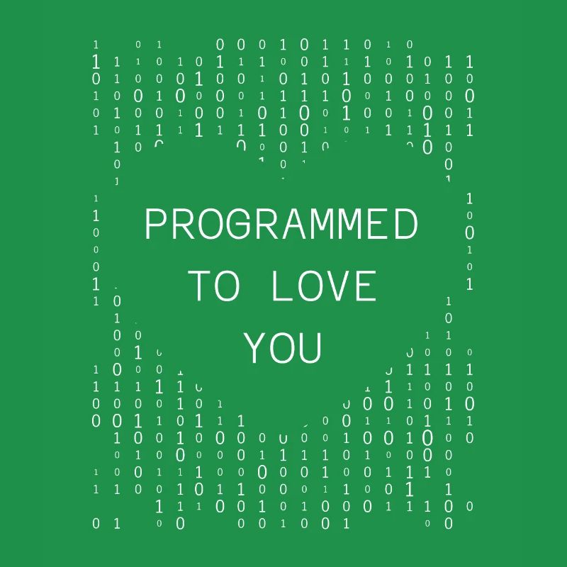 Developer Coder Programmer