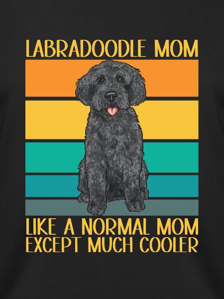 Labradoodle Dog