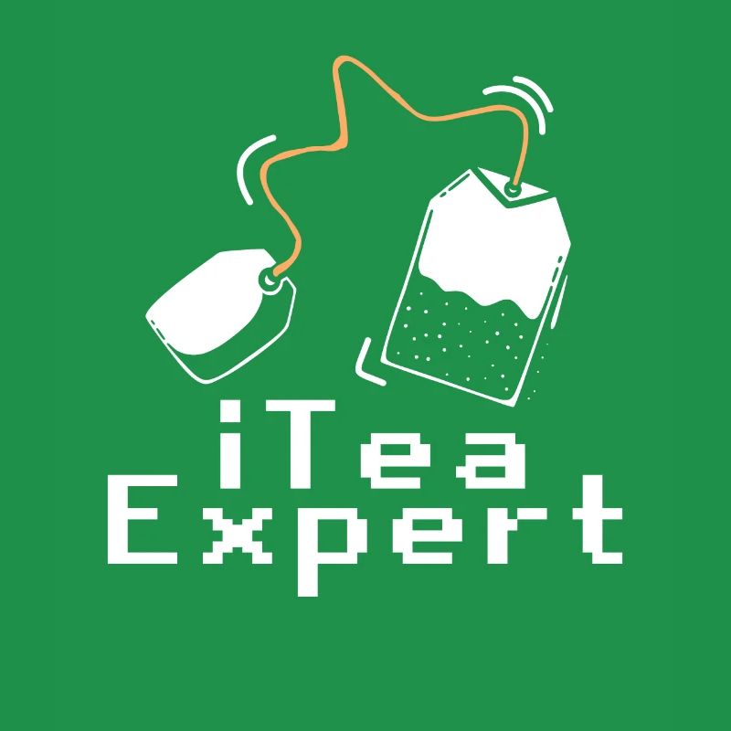 Itea-Experte Computer Software Programmierer
