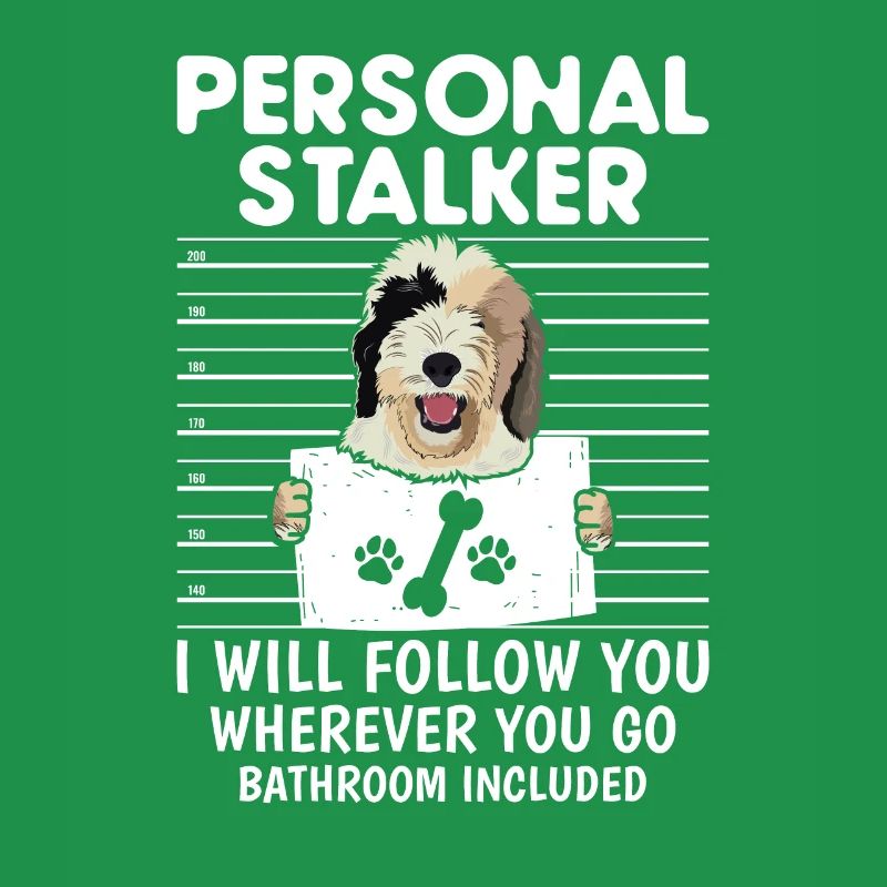 Sheepadoodle Doodle Dog