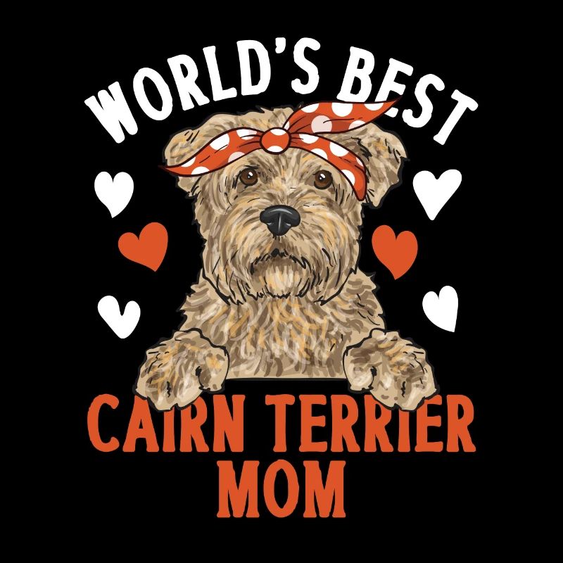 Cairn Terrier Chien