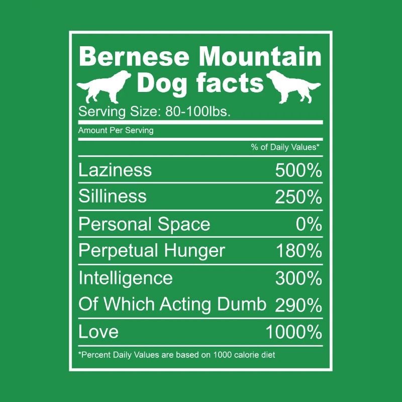 Bouvier bernois