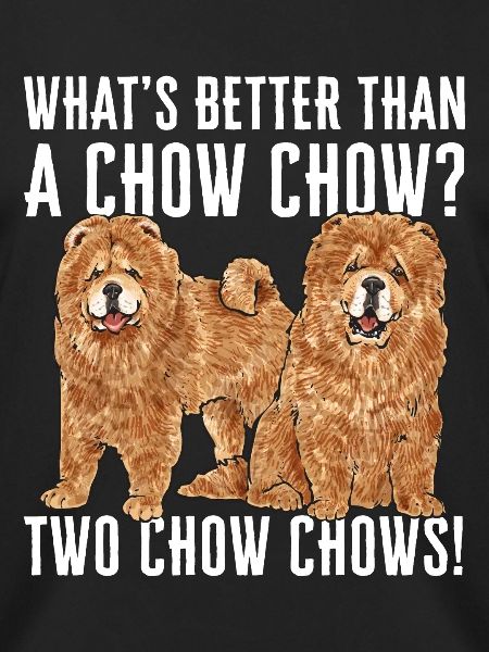 Chow Chow Dog