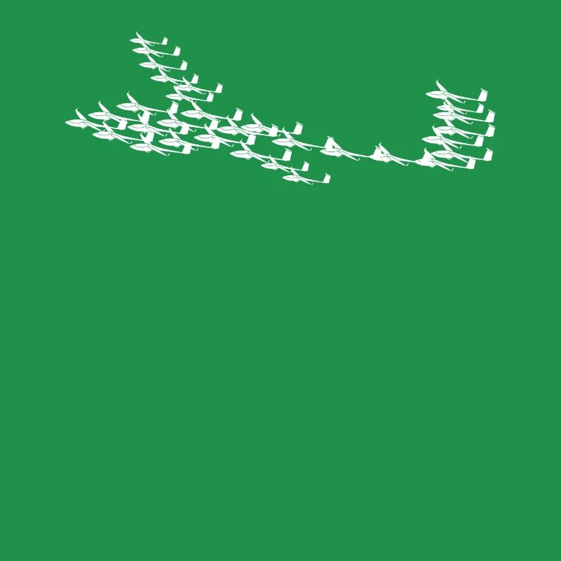 Glider Airplanes Glider