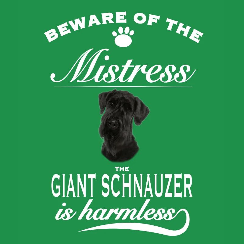 Méfiez-vous de la maîtresse, inoffensive Schnauzer géant