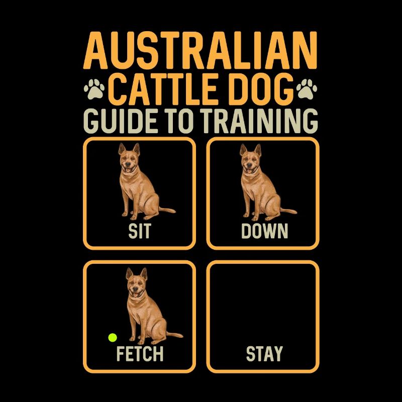 Bouvier australien Red Blue Heeler