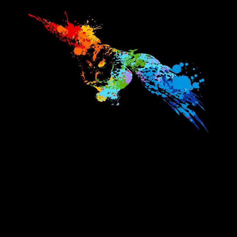 Sprühfarbe Eule Bunte Eule