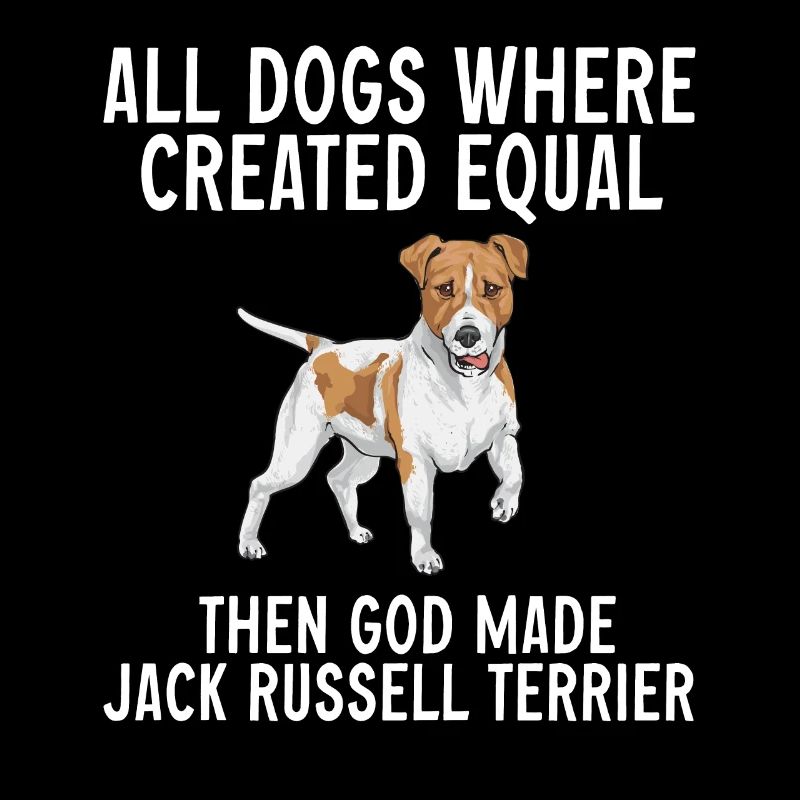 Jack Russell Terrier