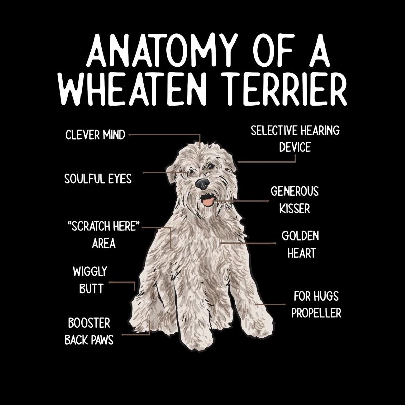 Irish Soft Coated Wheaten Terrier