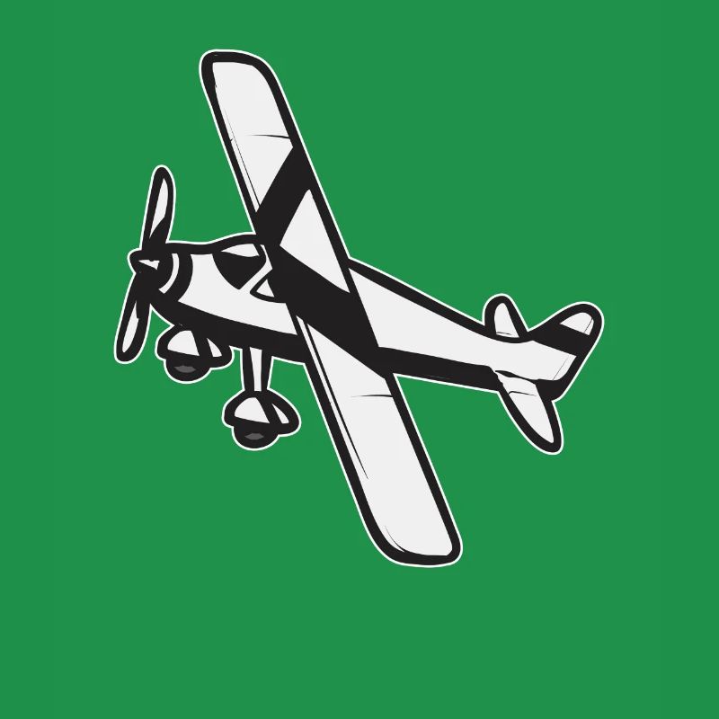 Modèle d’avion télécommandé