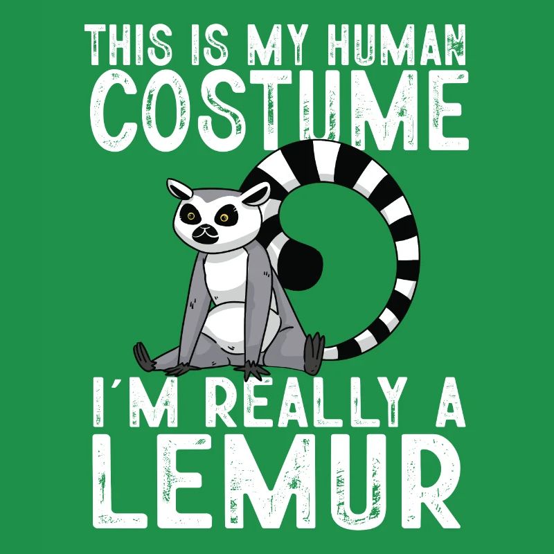Lemur Catta Ring-tailed lemur