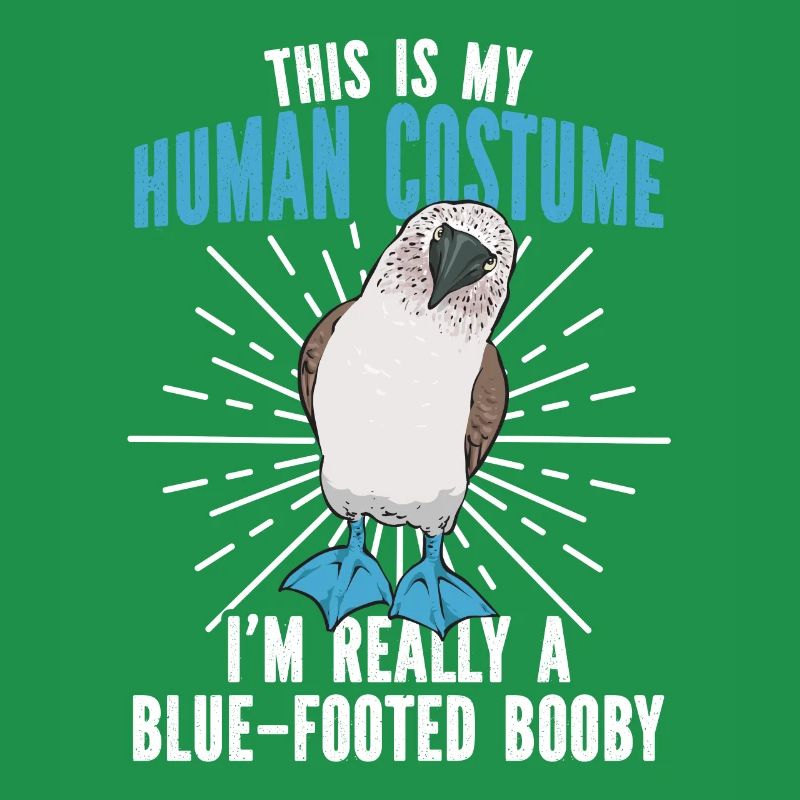 Blue-footed Booby Seabird