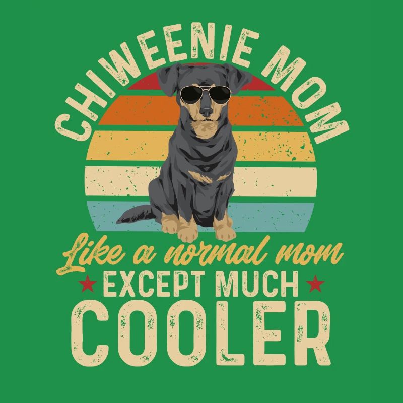 Chiweenie Dog