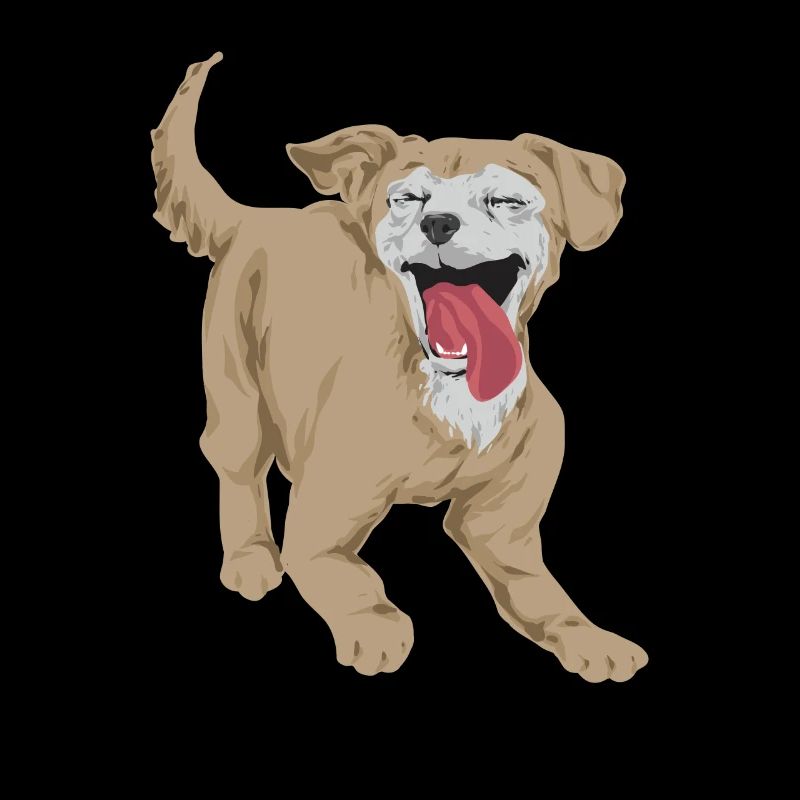 Chiweenie Dog
