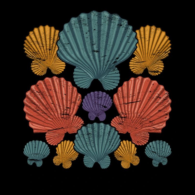 Summer Gift Colorful Shell