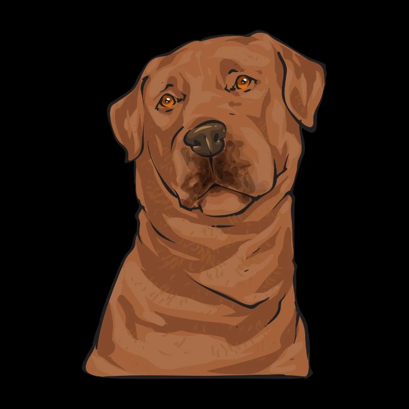 Foxred Labrador Fuchsroter Labrador Retriever