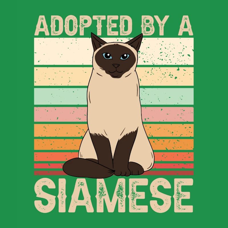 Siamese cat