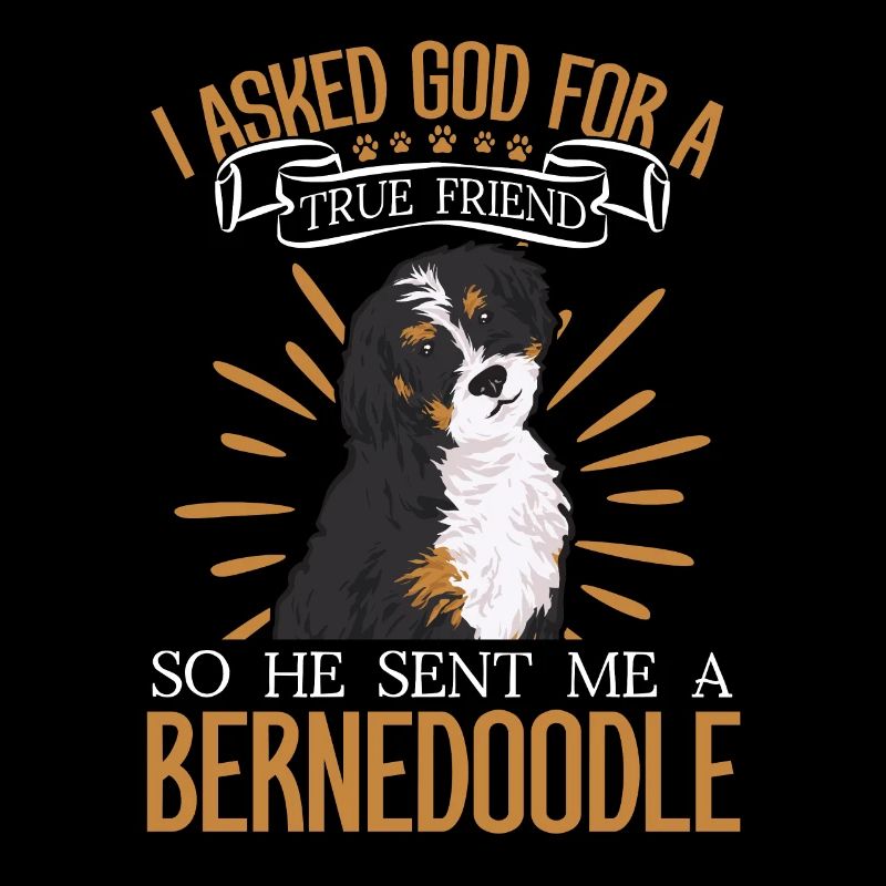 Bernedoodle Hund
