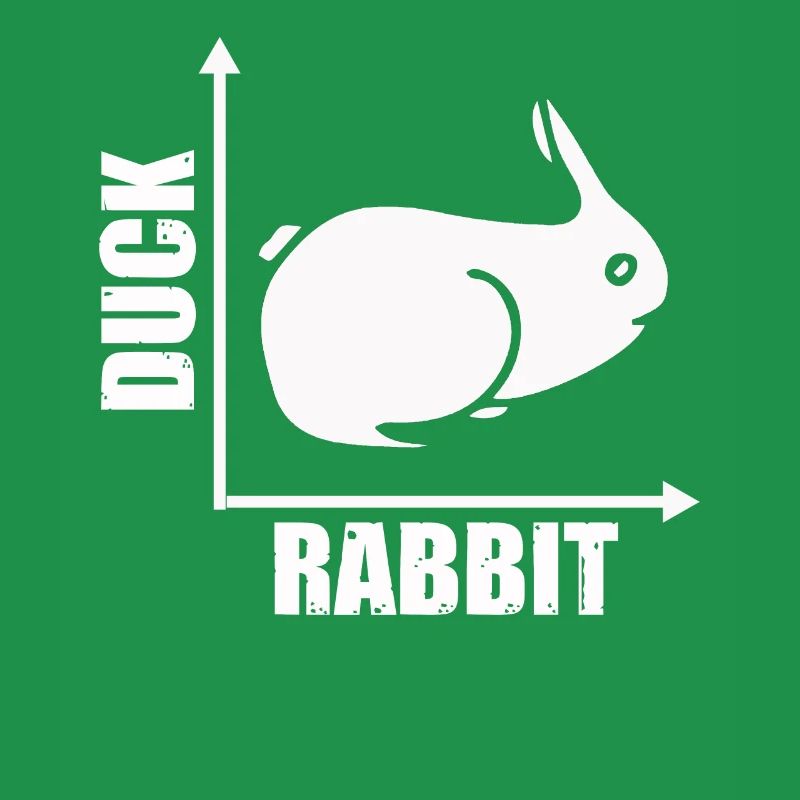 Illusione del coniglio e dell'anatra di Wittgenstein