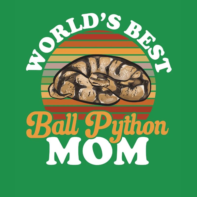 Ball Python Schlange Königspython