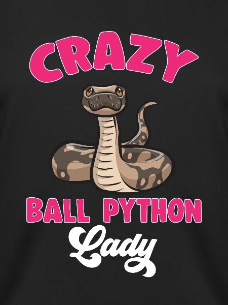 Ball Python Schlange Königspython