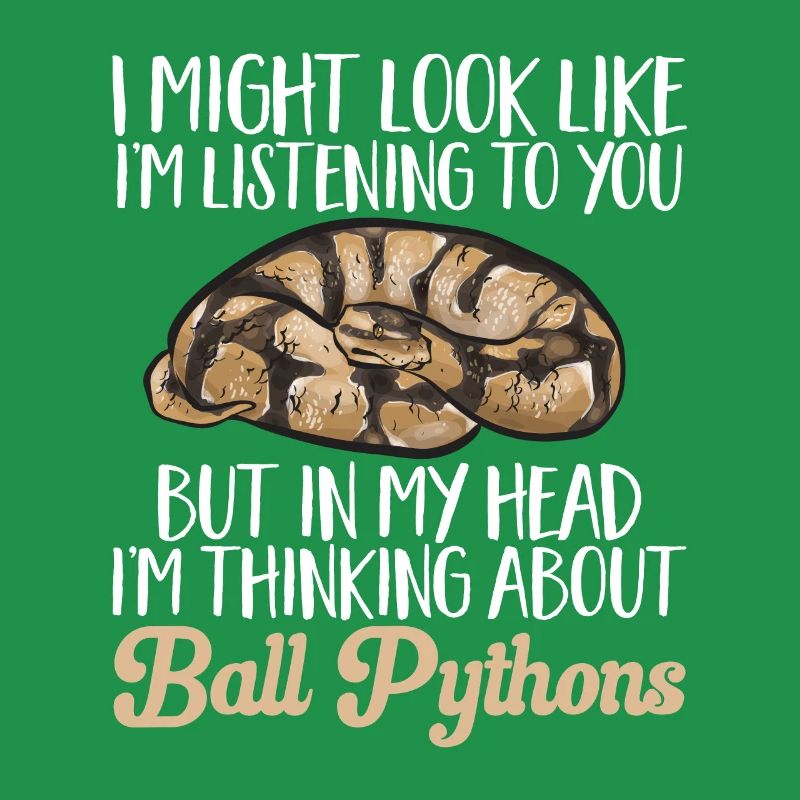 Ball Python Schlange Königspython