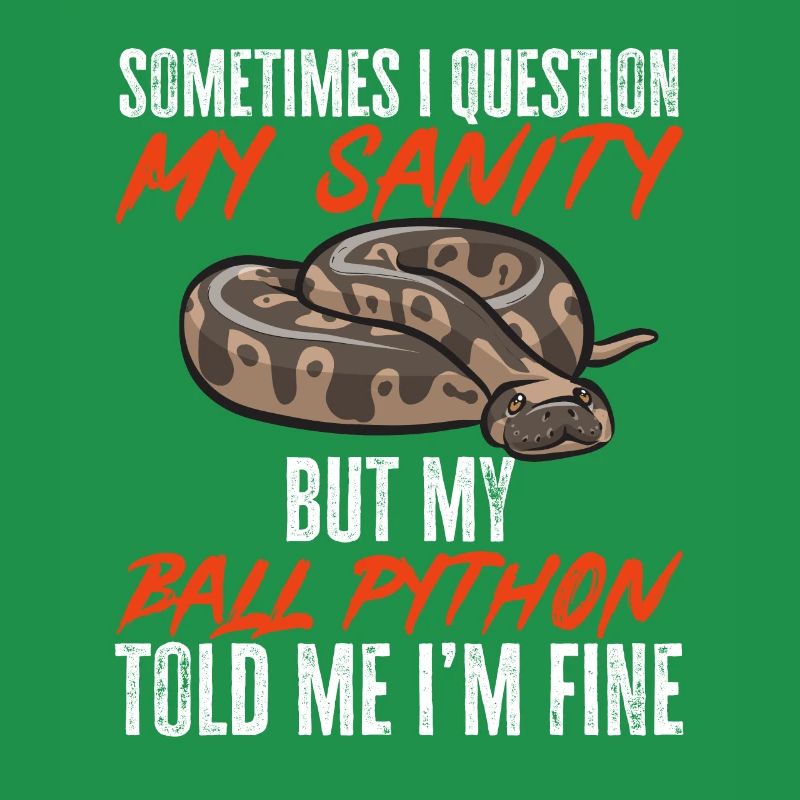 Ball Python Schlange Königspython