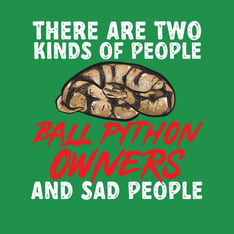 Ball Python Schlange Königspython