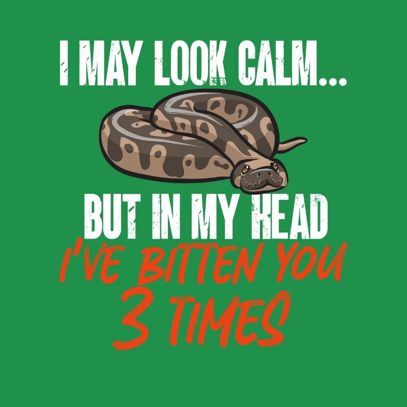 Ball Python Schlange Königspython