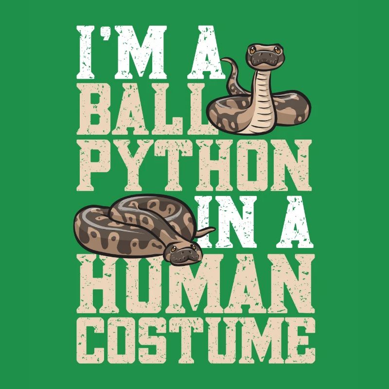 Ball Python Schlange Königspython