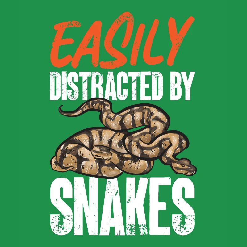 Ball Python Schlange Königspython