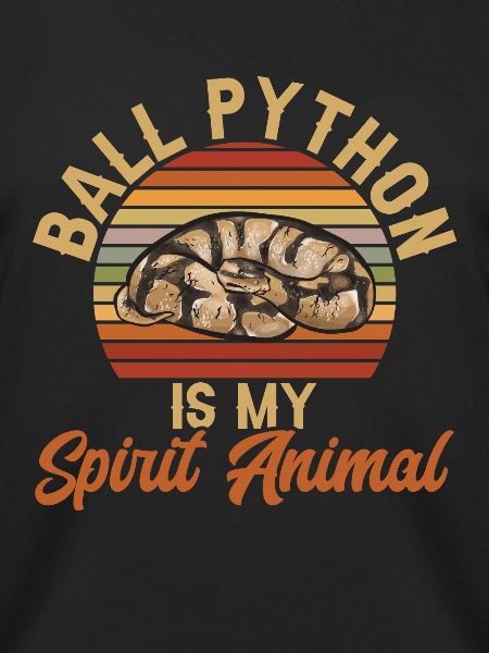 Ball Python Schlange Königspython