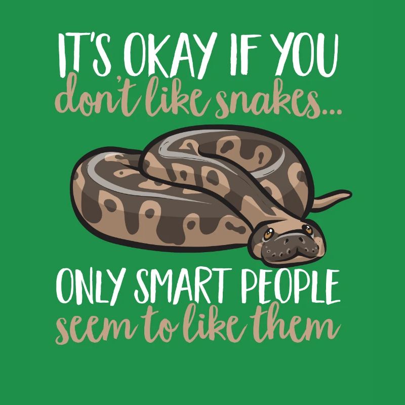 Ball Python Schlange Königspython