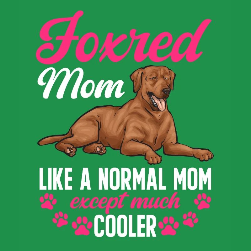 Fuchsroter Labrador Retriever Fox Red Labrador